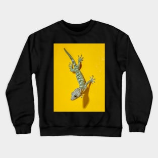 Tokay Gecko Crewneck Sweatshirt